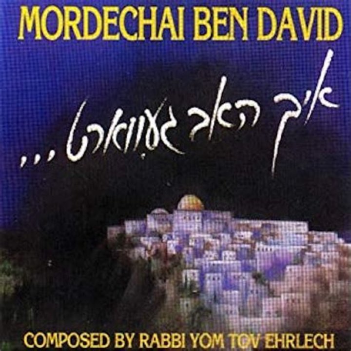 Mordechai Ben David Biography, Age, Height, Wife, Net Worth, Family